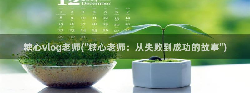 糖心vlog现在该看糖心了